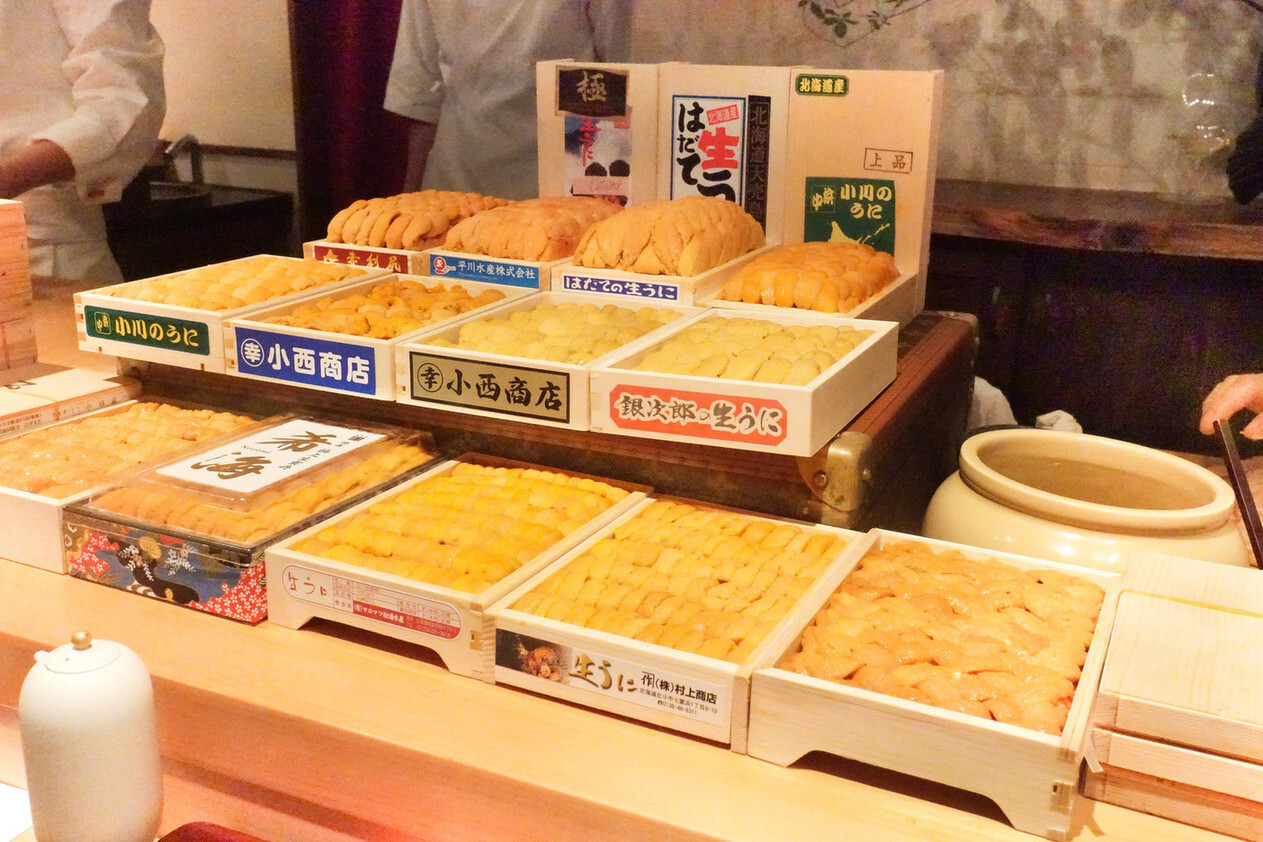 Boxes of sea urchin on display