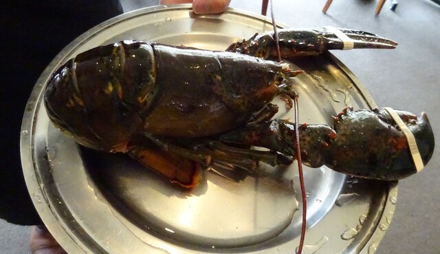 口コミ一覧 レッドロブスター 名古屋港ガーデンピア店 Red Lobster 名古屋港 シーフード 食べログ