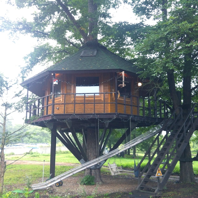 口コミ一覧 三部牧場ツリーハウス 鹿追町その他 旅館 オーベルジュ その他 食べログ